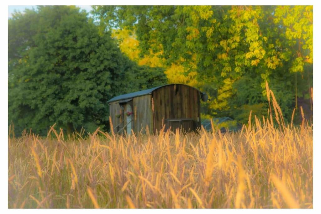 Mountbatten Shepherds Hut & Buckhurst Shepherds Hut Ashford  Ngoại thất bức ảnh