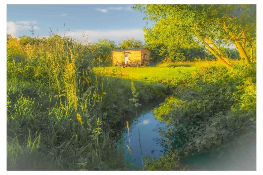 Mountbatten Shepherds Hut & Buckhurst Shepherds Hut Ashford  Ngoại thất bức ảnh