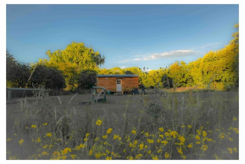 Mountbatten Shepherds Hut & Buckhurst Shepherds Hut Ashford  Ngoại thất bức ảnh