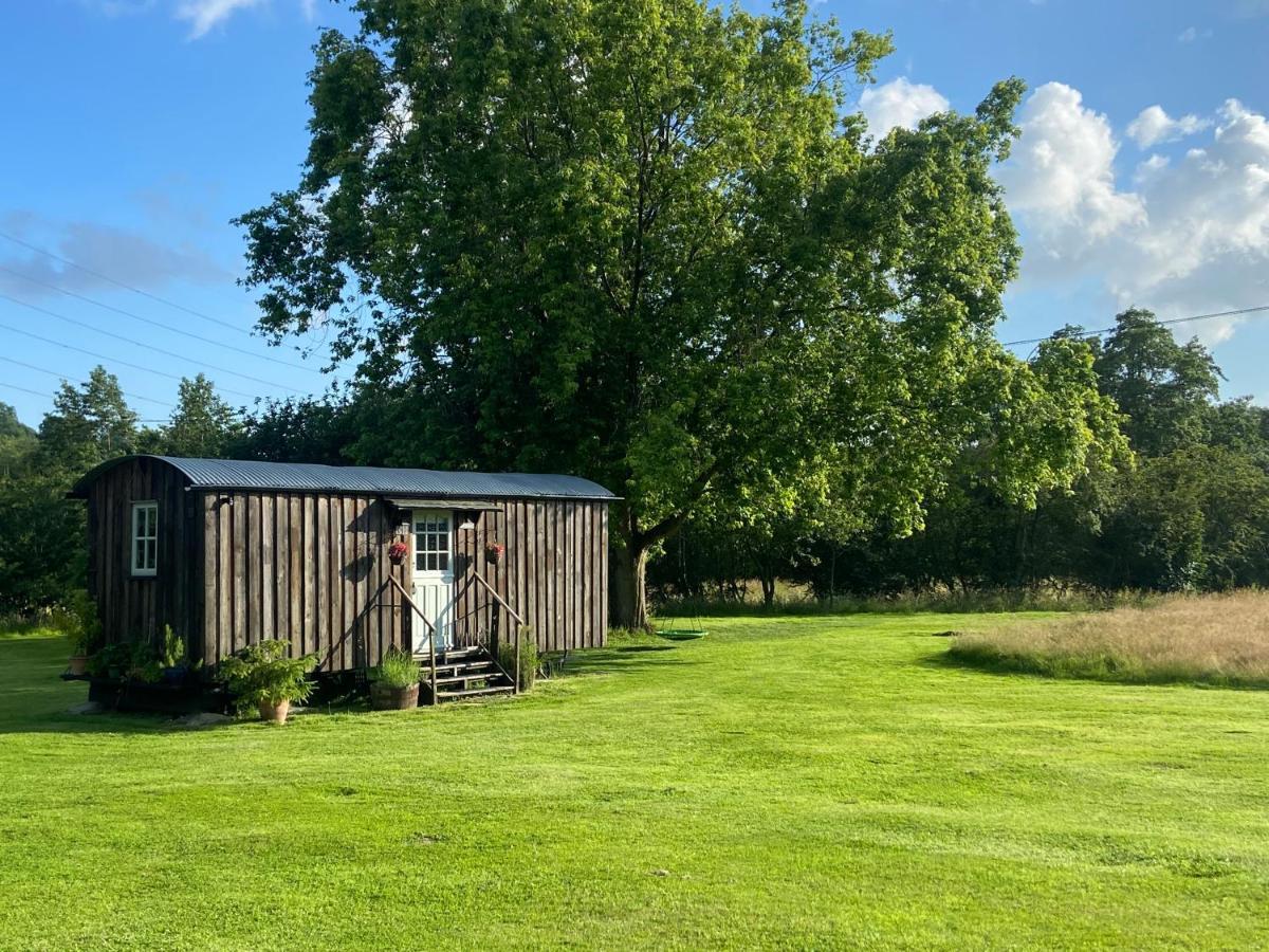 Mountbatten Shepherds Hut & Buckhurst Shepherds Hut Ashford  Ngoại thất bức ảnh