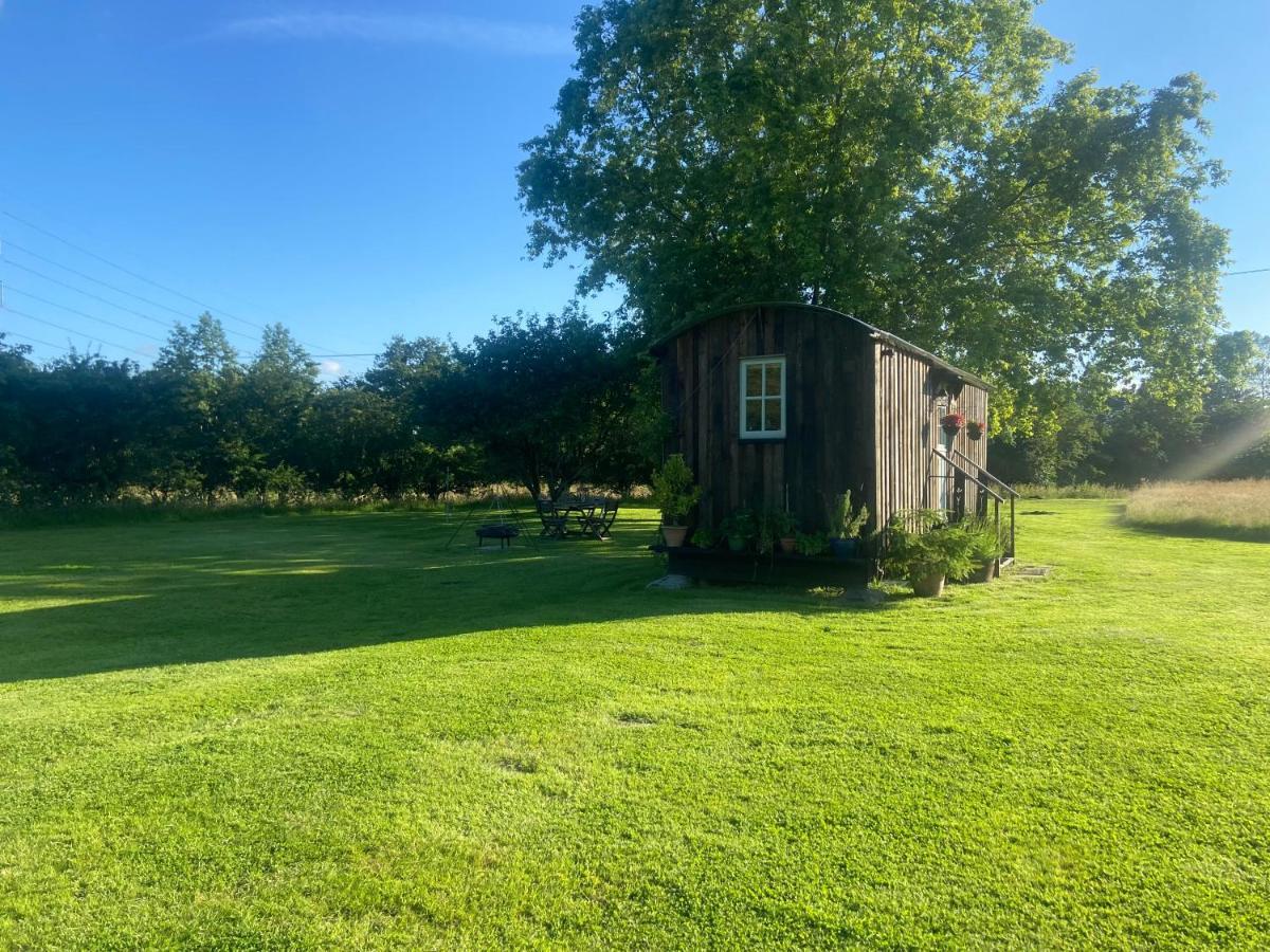 Mountbatten Shepherds Hut & Buckhurst Shepherds Hut Ashford  Ngoại thất bức ảnh