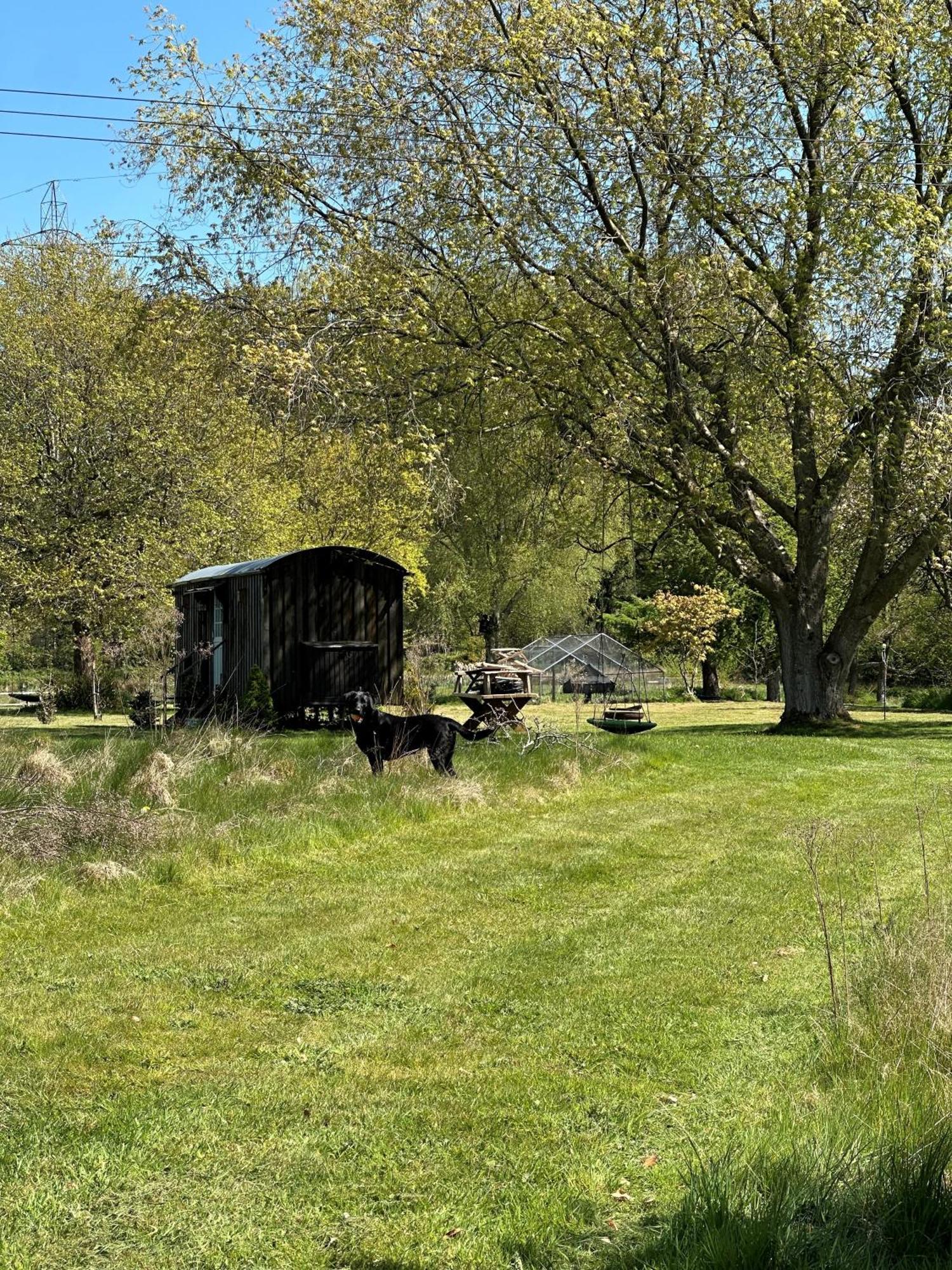 Mountbatten Shepherds Hut & Buckhurst Shepherds Hut Ashford  Ngoại thất bức ảnh